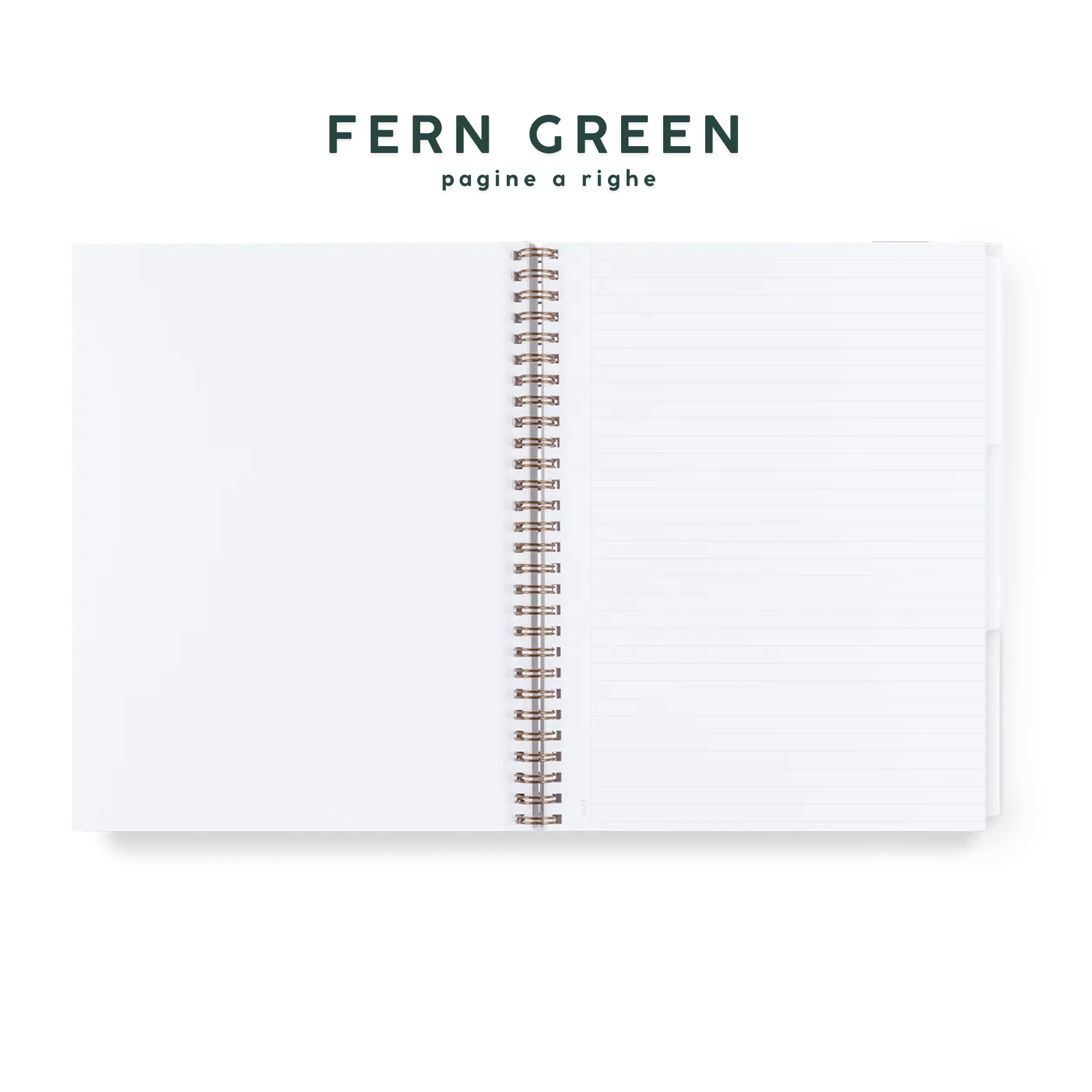 Appointed Quaderni Three Subject Notebook