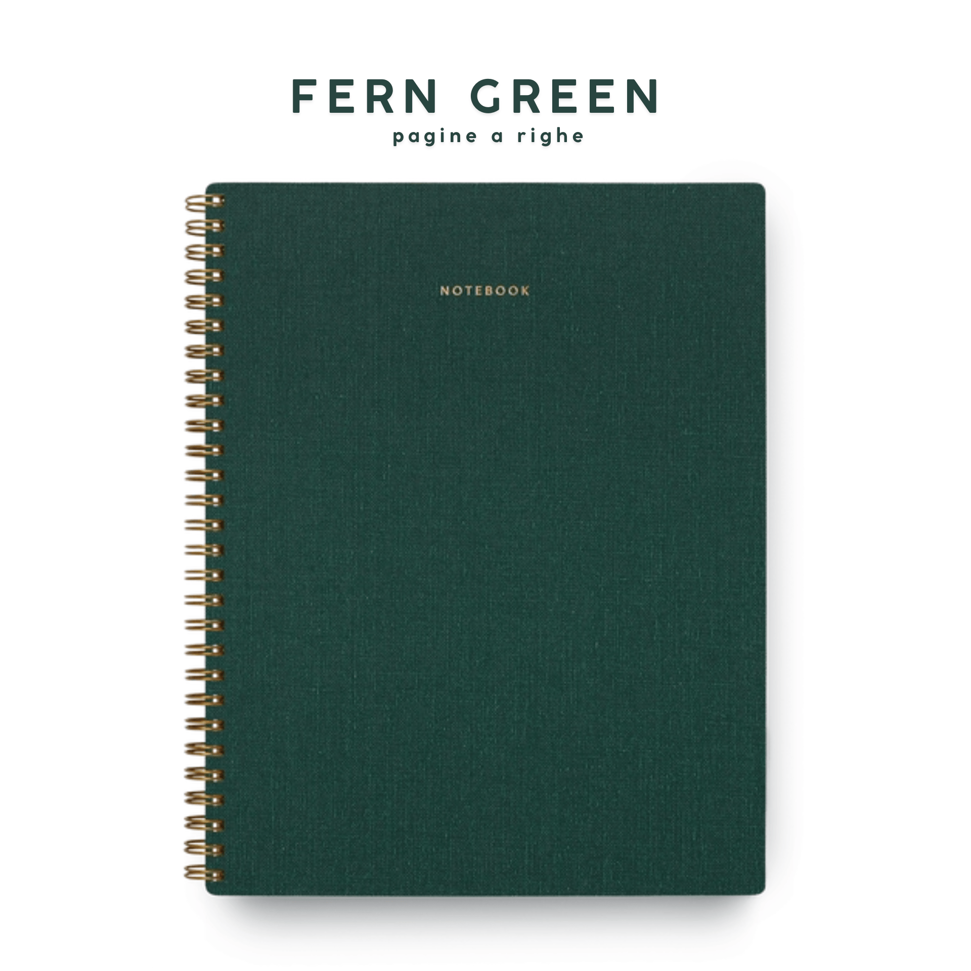 Appointed Quaderni FERN GREEN - PAGINE A RIGHE Three Subject Notebook