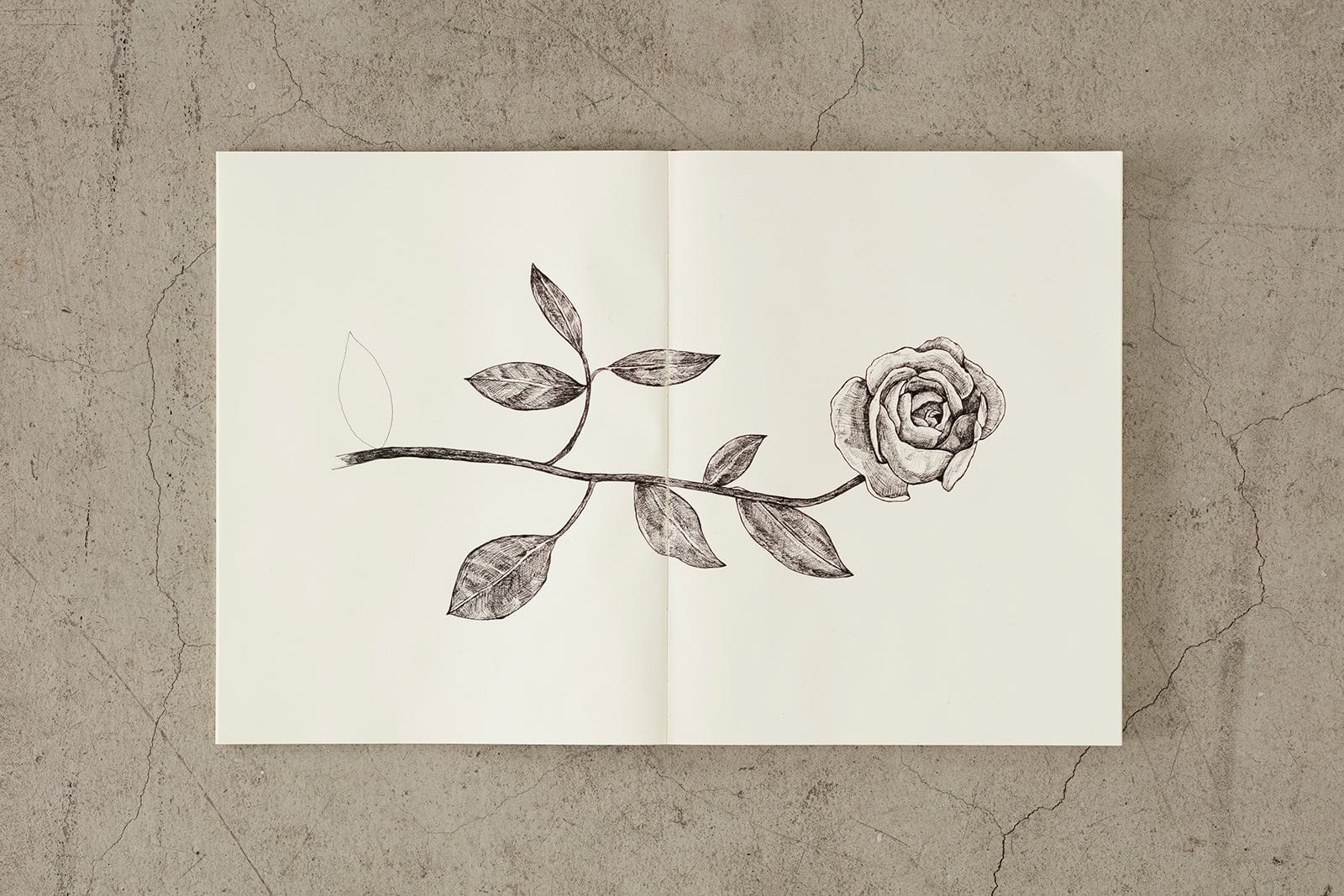 Midori Quaderno MD notebook A6 Blank