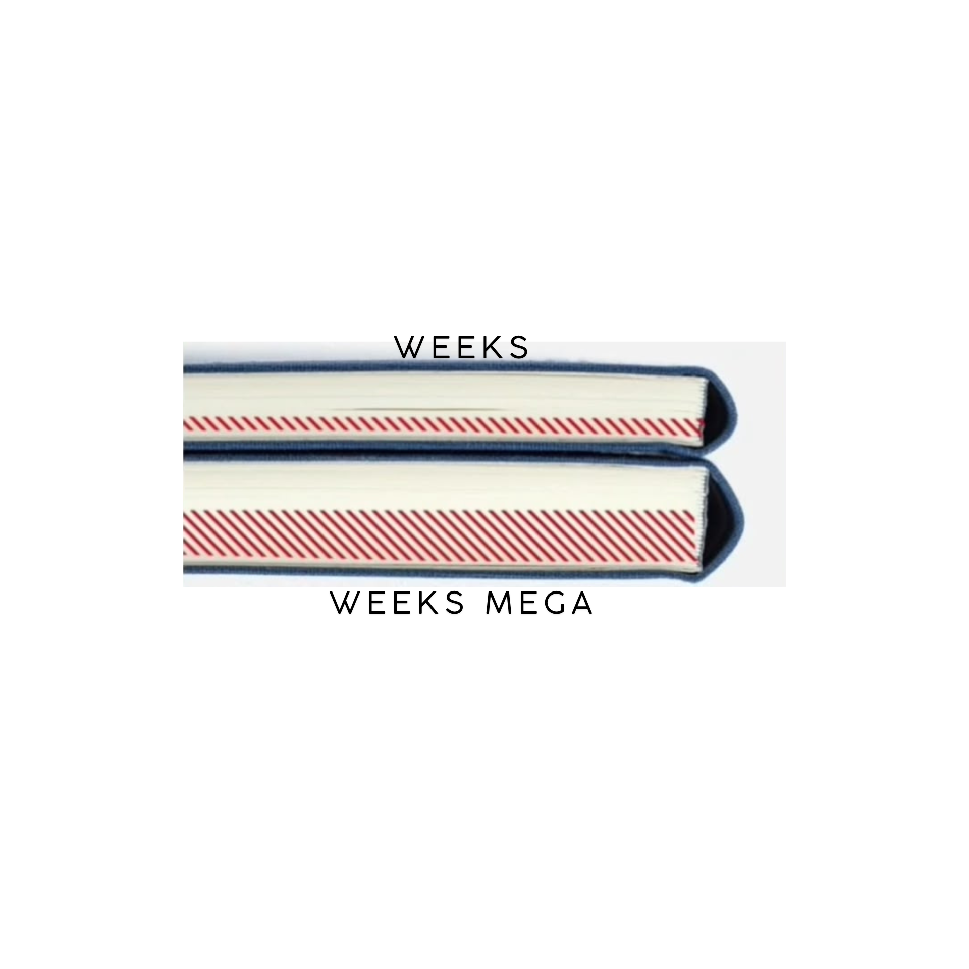 Hobonichi Weeks 2027 MEGA - Colors Midnight Blue