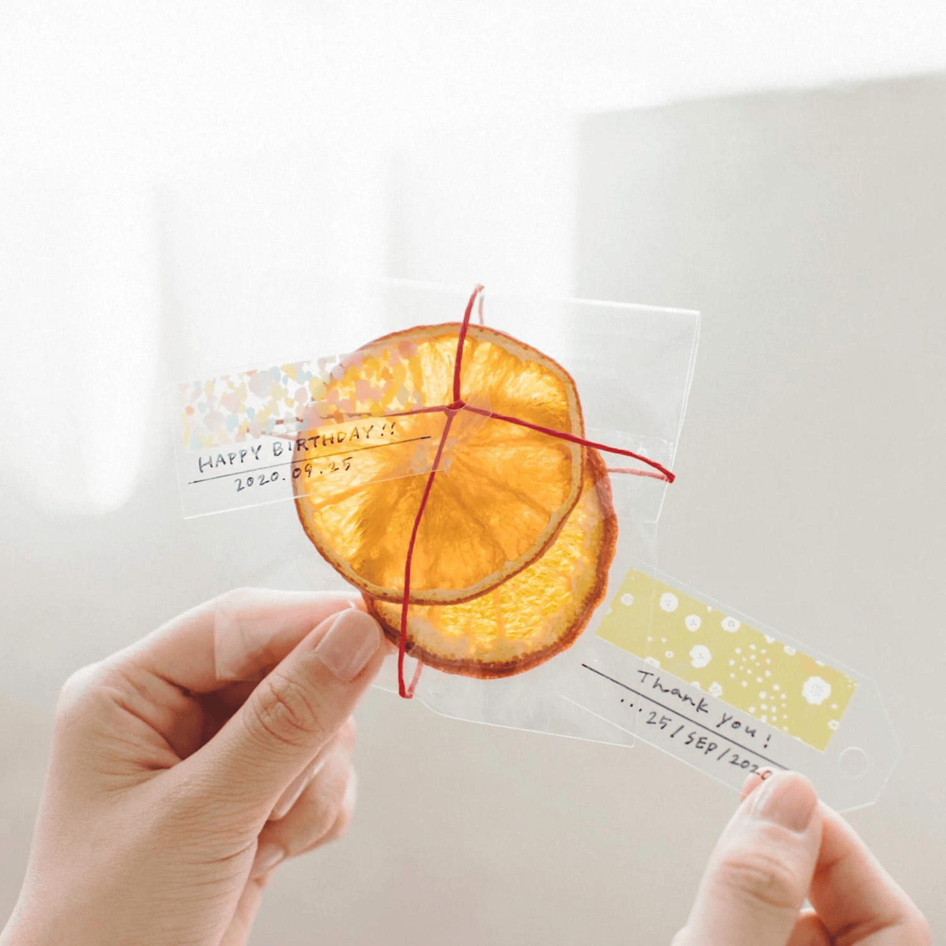 King Jim Hitotoki Stickers KITTA Clear Sticky Note - Drop