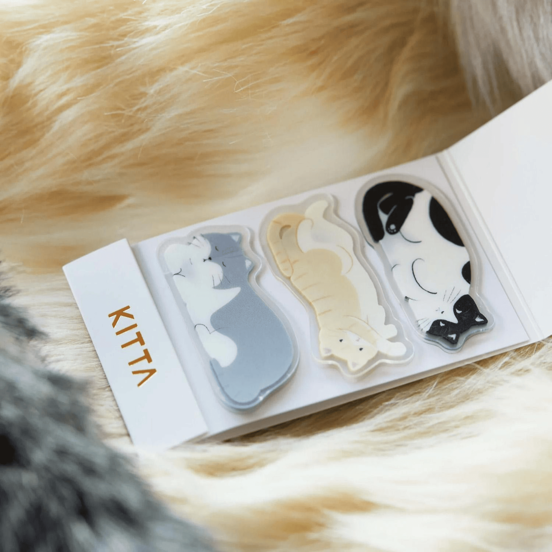 King Jim Hitotoki Stickers KITTA Clear Sticky Tape - Cat