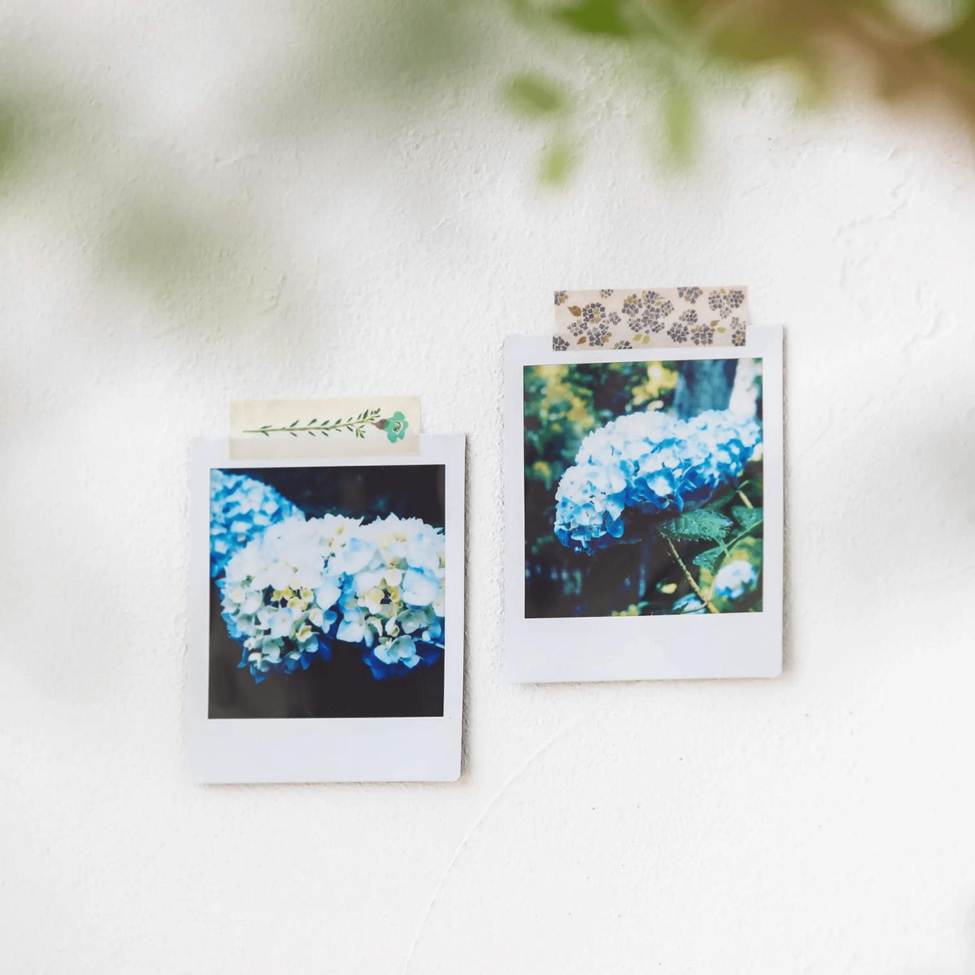 King Jim Hitotoki Stickers KITTA Sticky Tape - Flower 4