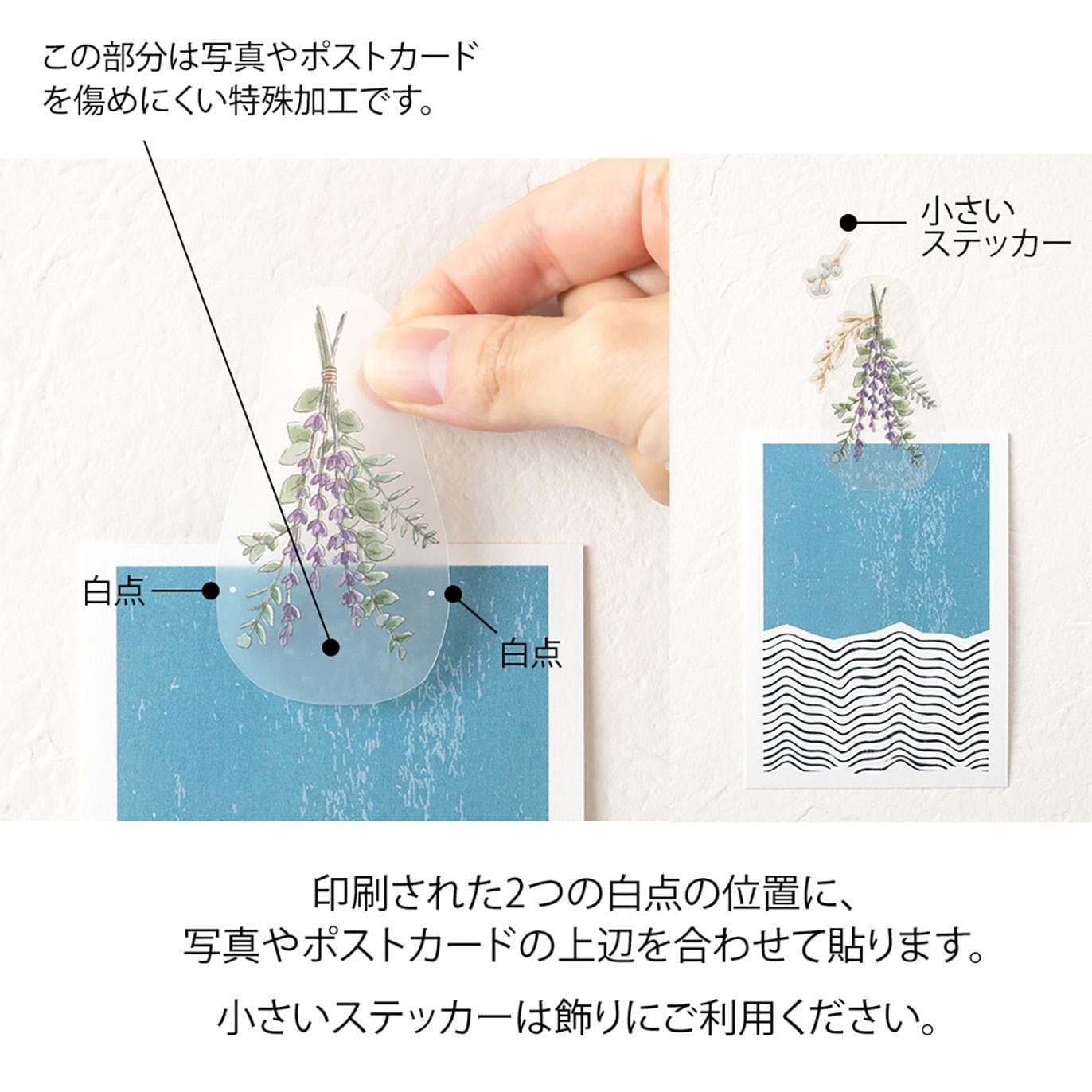 Midori Stickers Midori Clip Stickers Dried Flowers