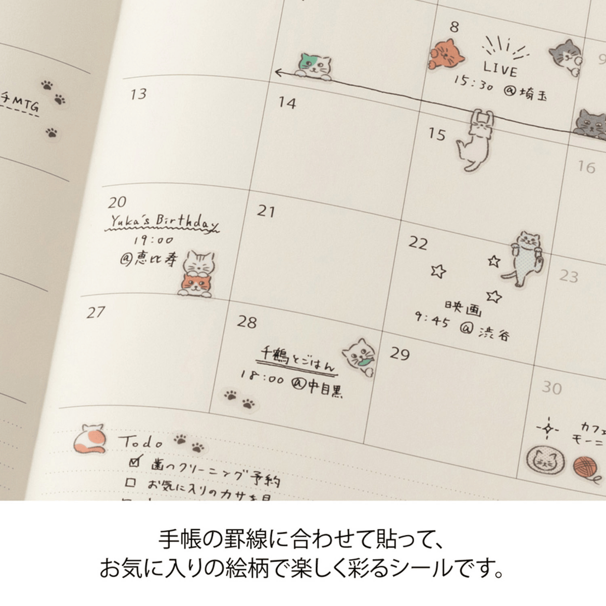 Midori Stickers Midori Planner Stickers - Ruled Line Cat