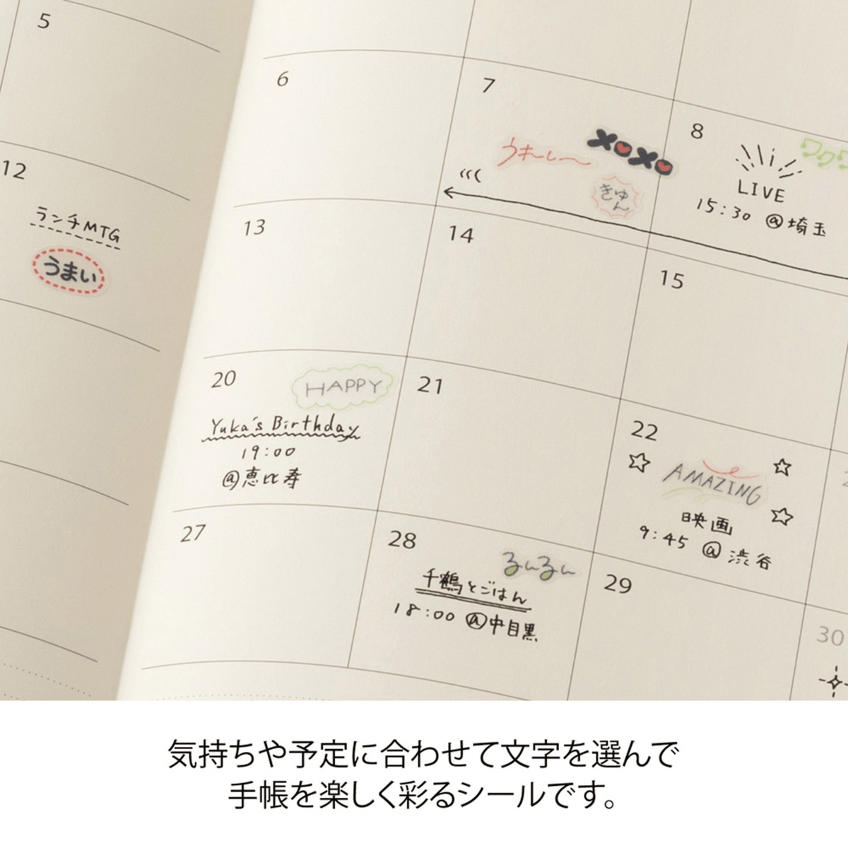 Midori Stickers Midori Planner Stickers - Words Feelings
