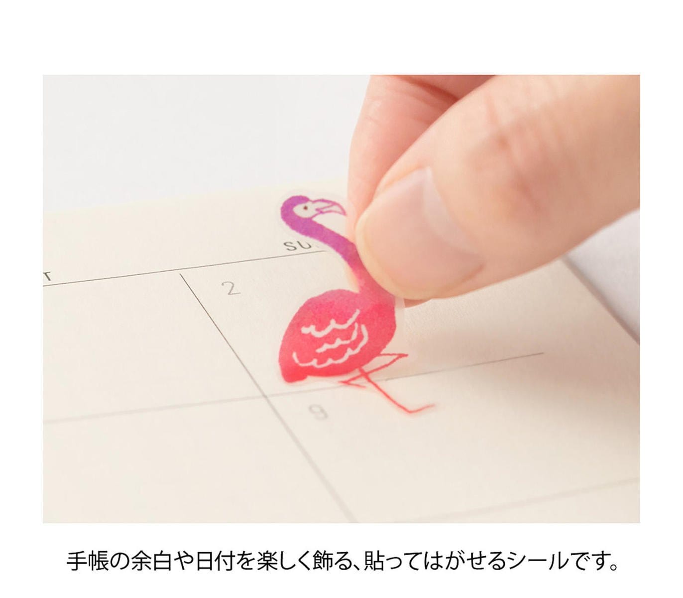 Midori Stickers Stickers Midori Color Collection