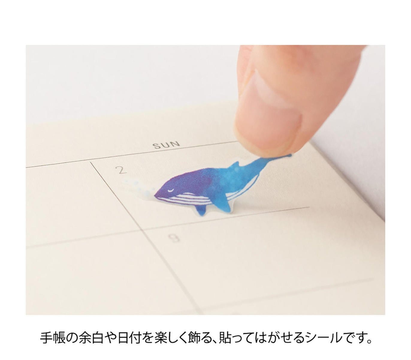 Midori Stickers Stickers Midori Color Collection