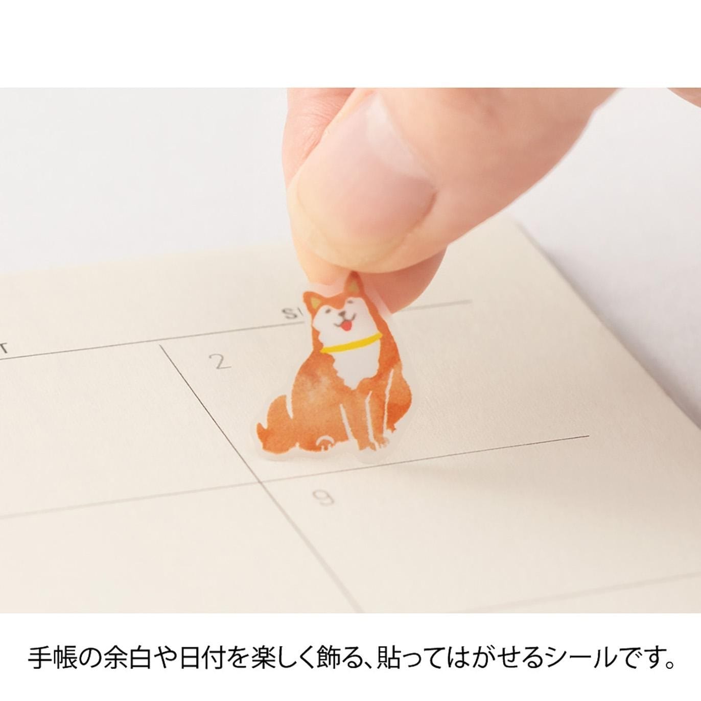 Midori Stickers Stickers Midori Color Collection