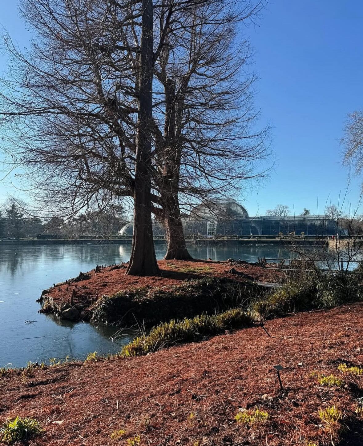 SayPaper Workshop WEBINAR - A passeggio per Londra - 24 maggio