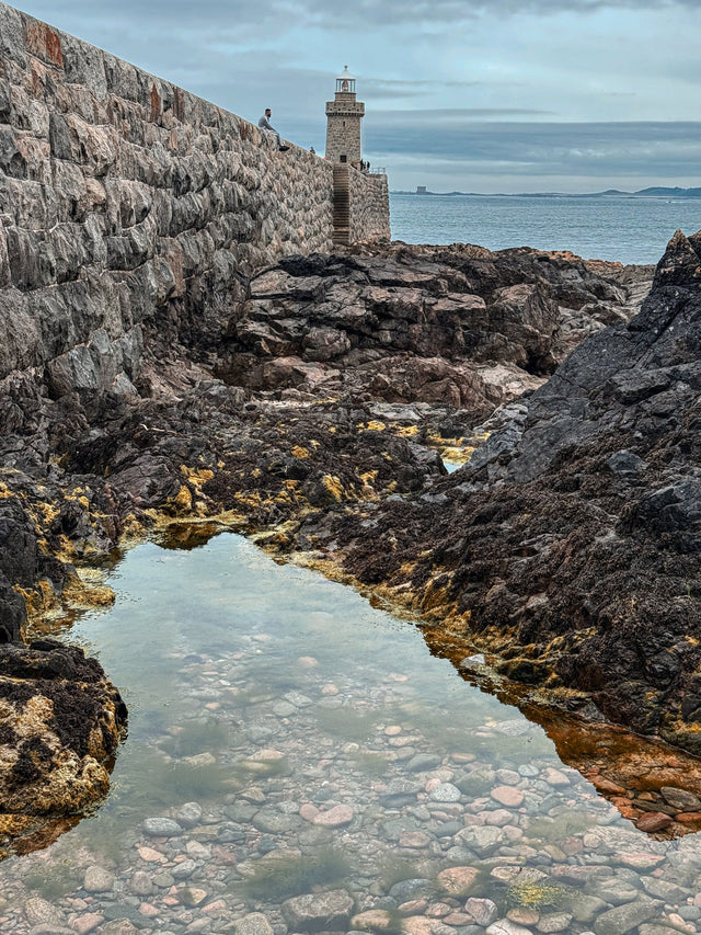 SayPaper Workshop WEBINAR - Viaggio a  Guernsey Un itinerario letterario e non sulla magica isola del Canale britannico - 14 giugno