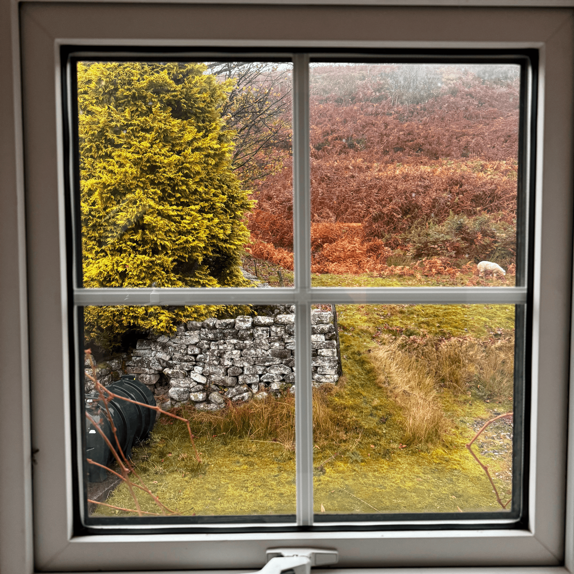 SayPaper Workshop WEBINAR - Viaggio nello Yorkshire - 15 novembre