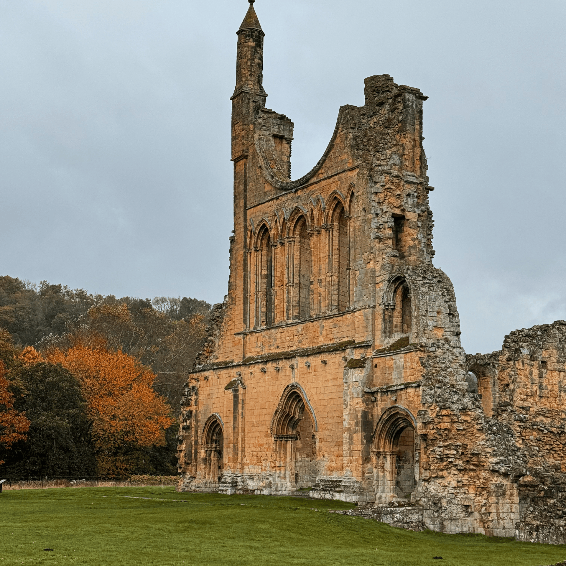 SayPaper Workshop WEBINAR - Viaggio nello Yorkshire - 15 novembre