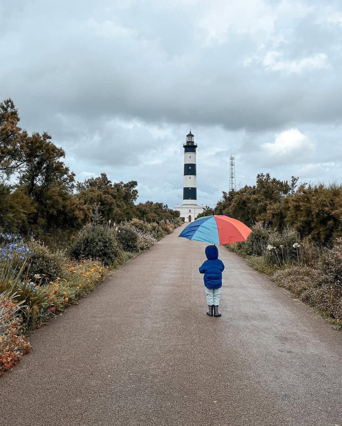 SayPaper Workshop WEBINAR - viaggio tra i fari più affascinanti del mondo - 6 SETTEMBRE 2025