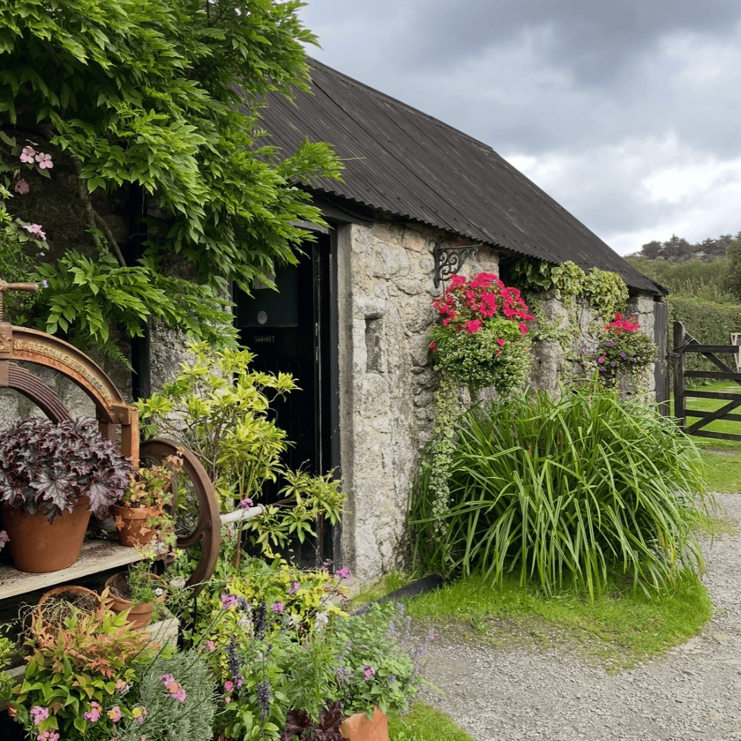 SayPaper Workshop WEBINAR - Viaggio Viaggio tra Devon e Cornovaglia  - 4 aprile 2026