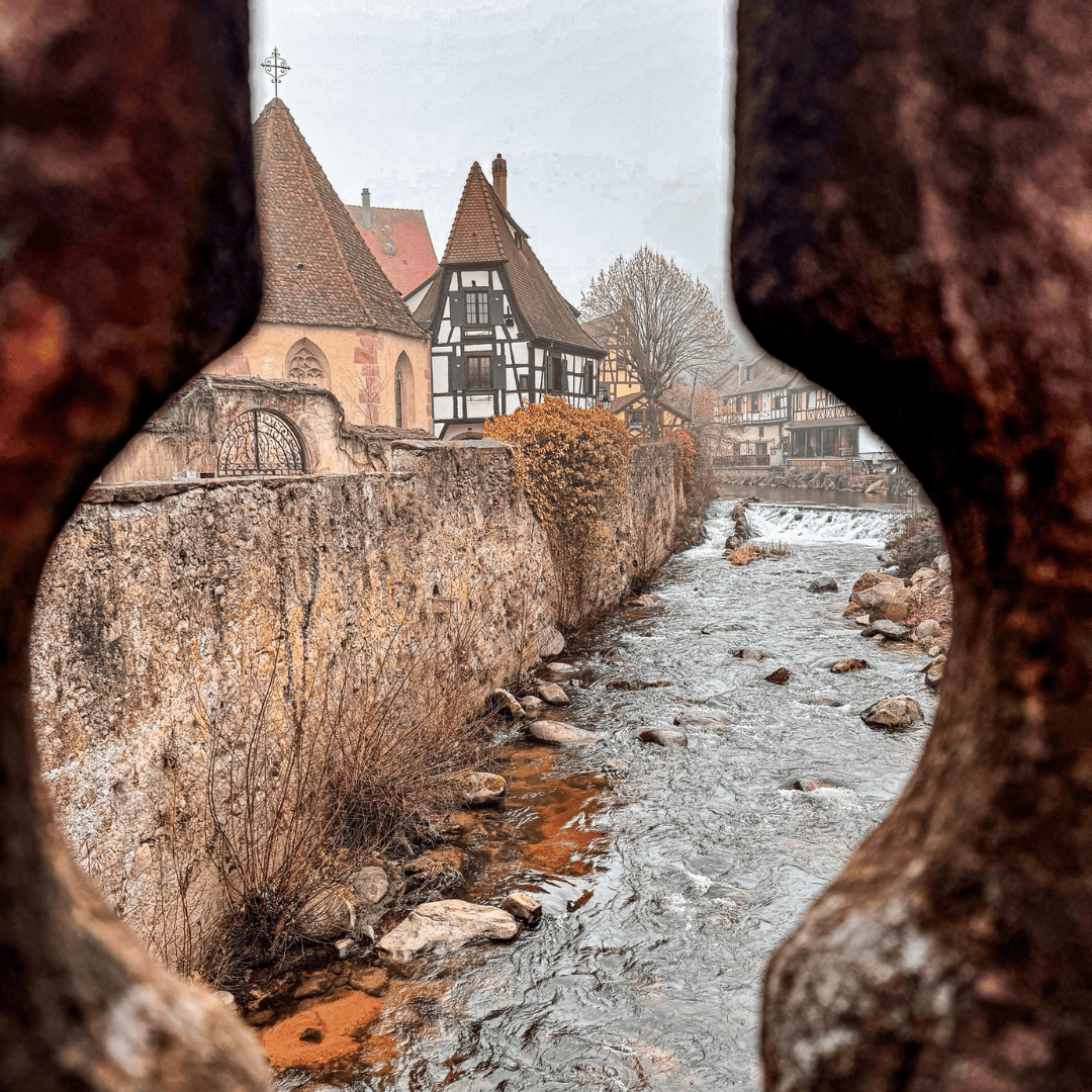 SayPaper Workshop Workshop Travel Journal - Viaggio in Alsazia - 28 febbraio