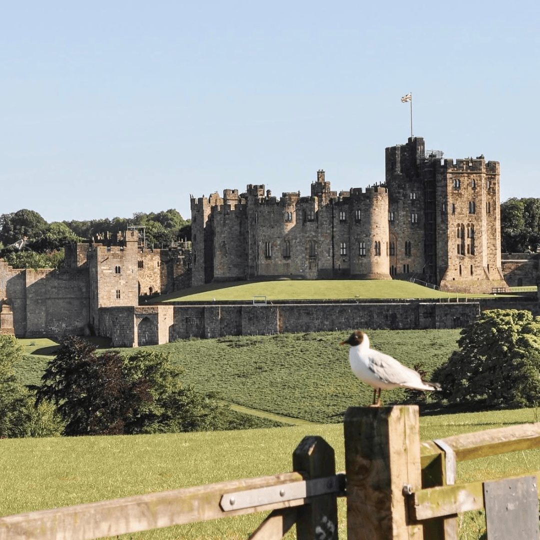 SayPaper Workshop Workshop Travel Journal - Viaggio nel Northumberland - 30 maggio