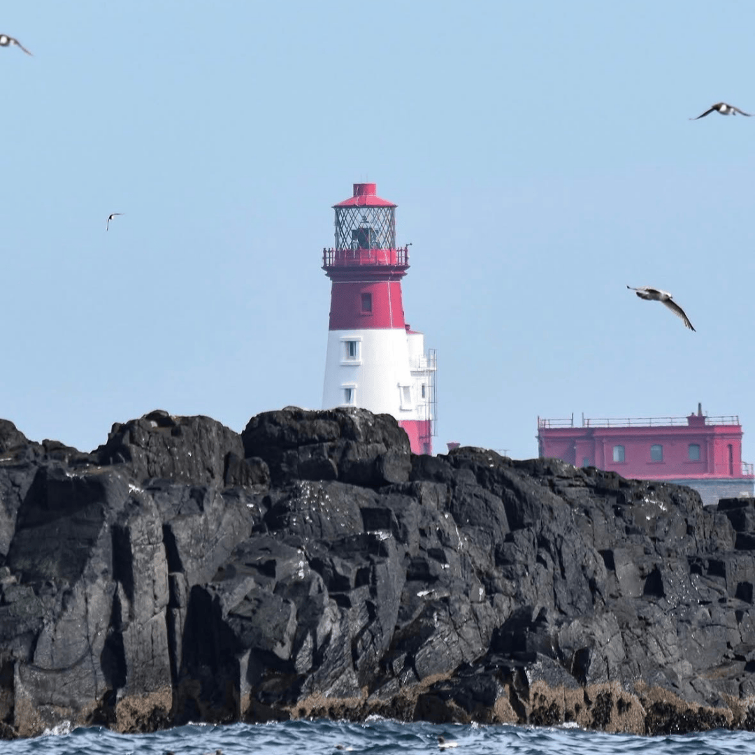 SayPaper Workshop Workshop Travel Journal - Viaggio nel Northumberland - 30 maggio