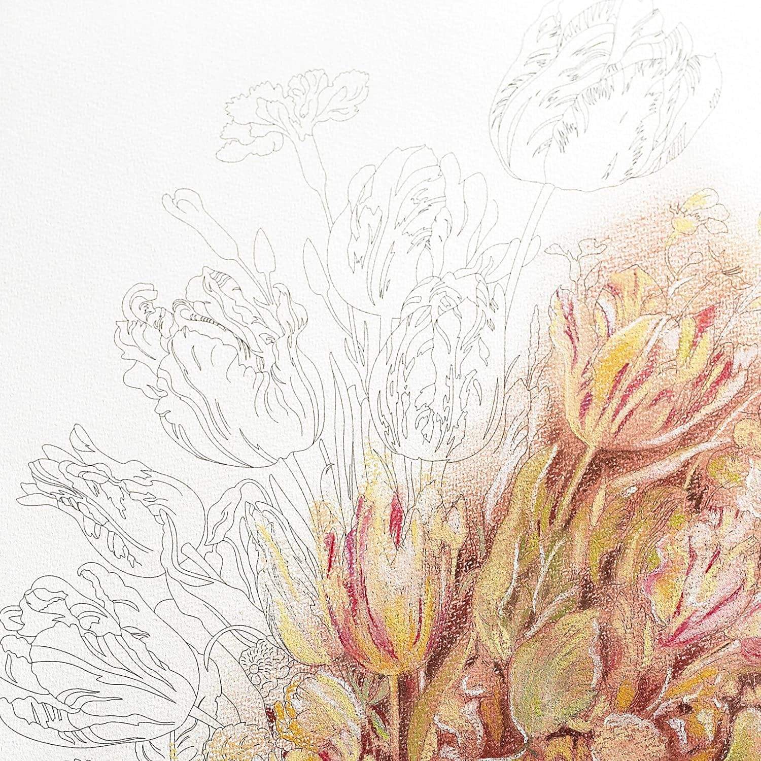 Pepin Press Book Coloring Book - Still life bouquet