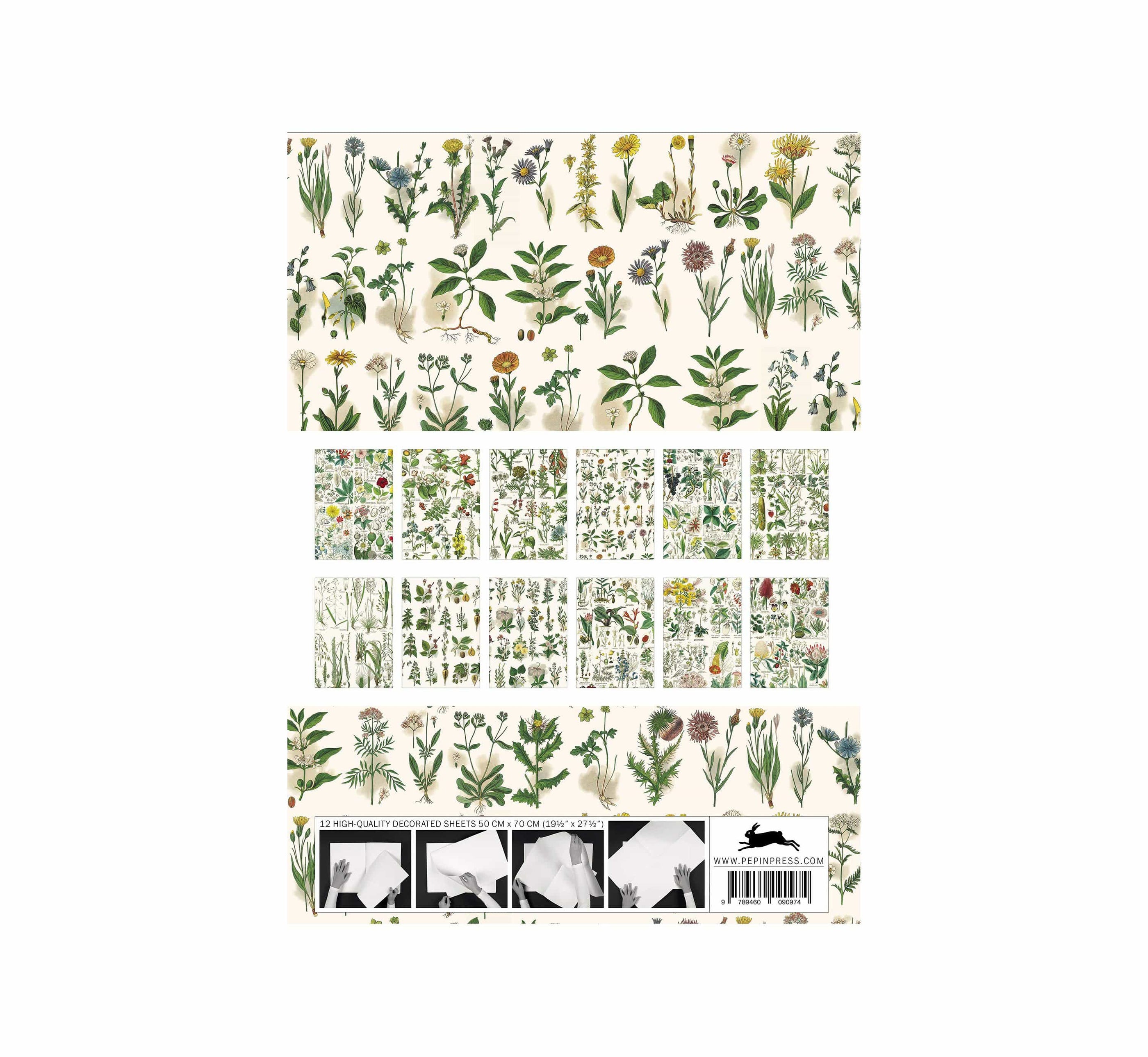 Pepin Press Carta regalo Carta regalo - Book Flora