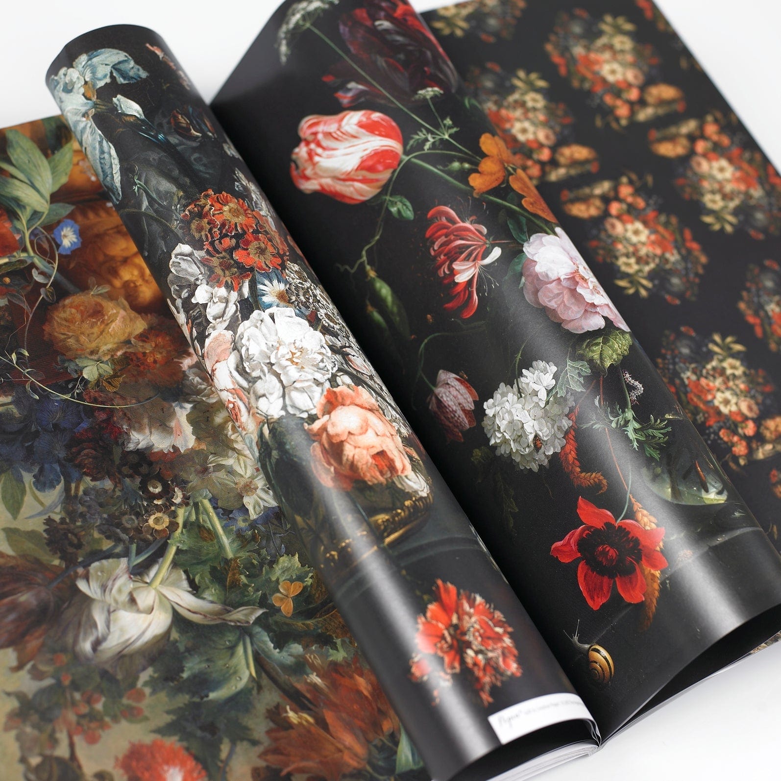 Pepin Press Carta regalo Carta regalo - Book Still Life