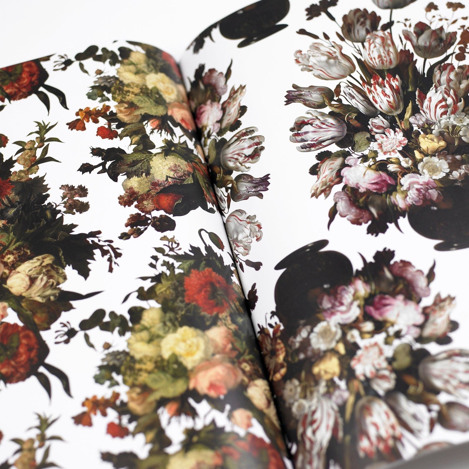 Pepin Press Carta regalo Carta regalo - Book Still Life