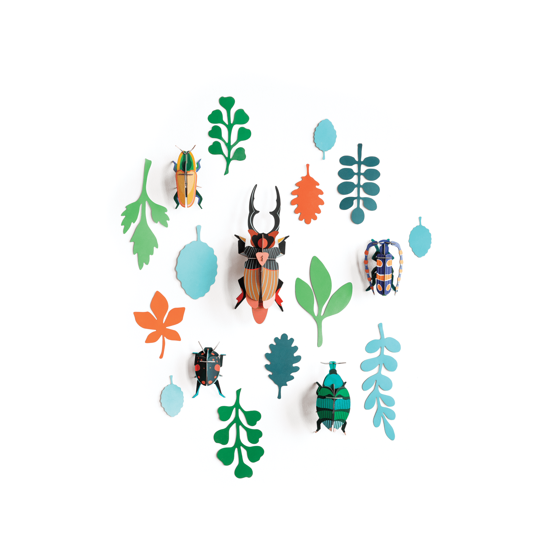 Studio Roof Decorazione parete Beetle Collection - Wall of Curiosities