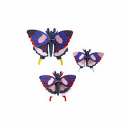 Studio Roof Decorazione parete Butterfly set