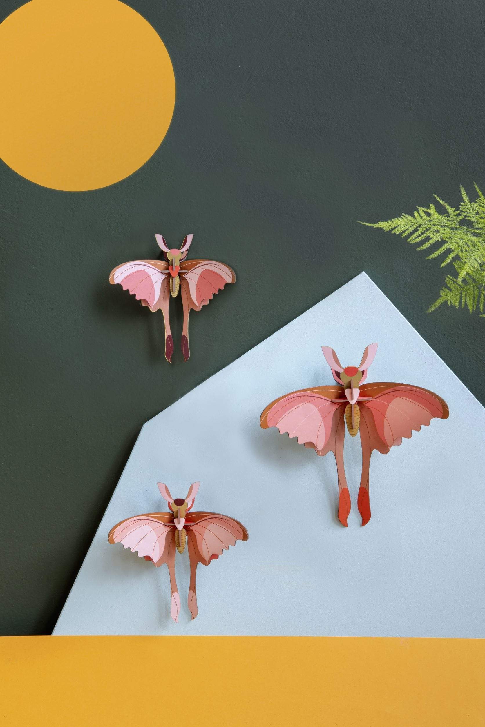 Studio Roof Decorazione parete Comet Butterfly set da 3
