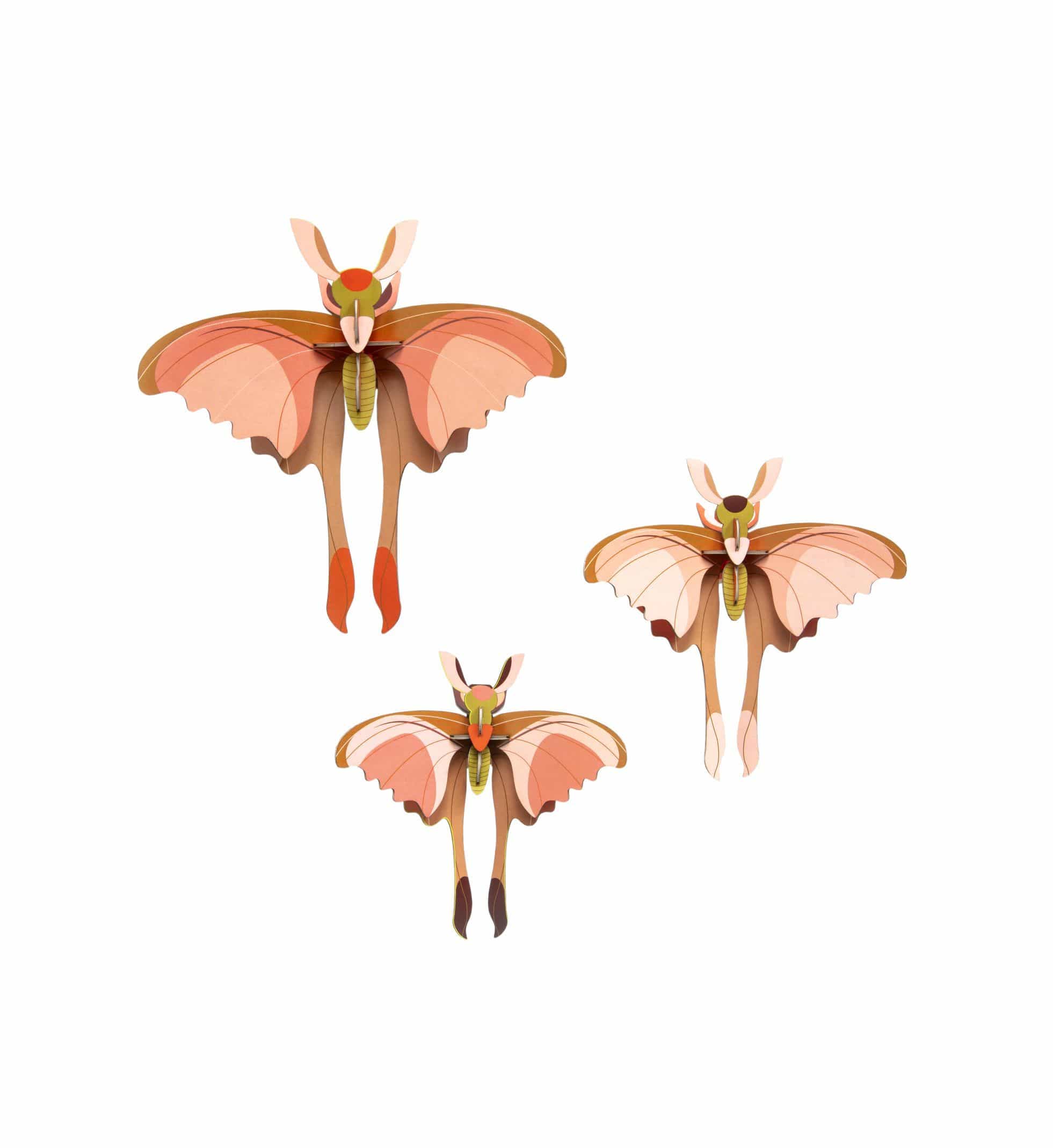 Studio Roof Decorazione parete Comet Butterfly set da 3