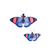 Studio Roof Decorazione parete Deluxe Collection - Butterflies