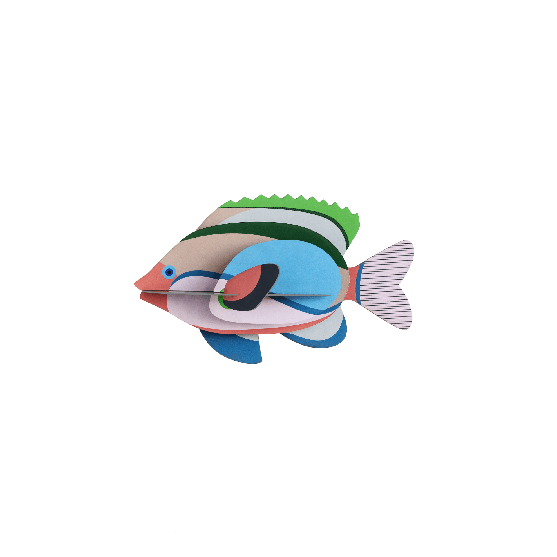 Studio Roof Decorazione parete Fairy Wrasse - Fish
