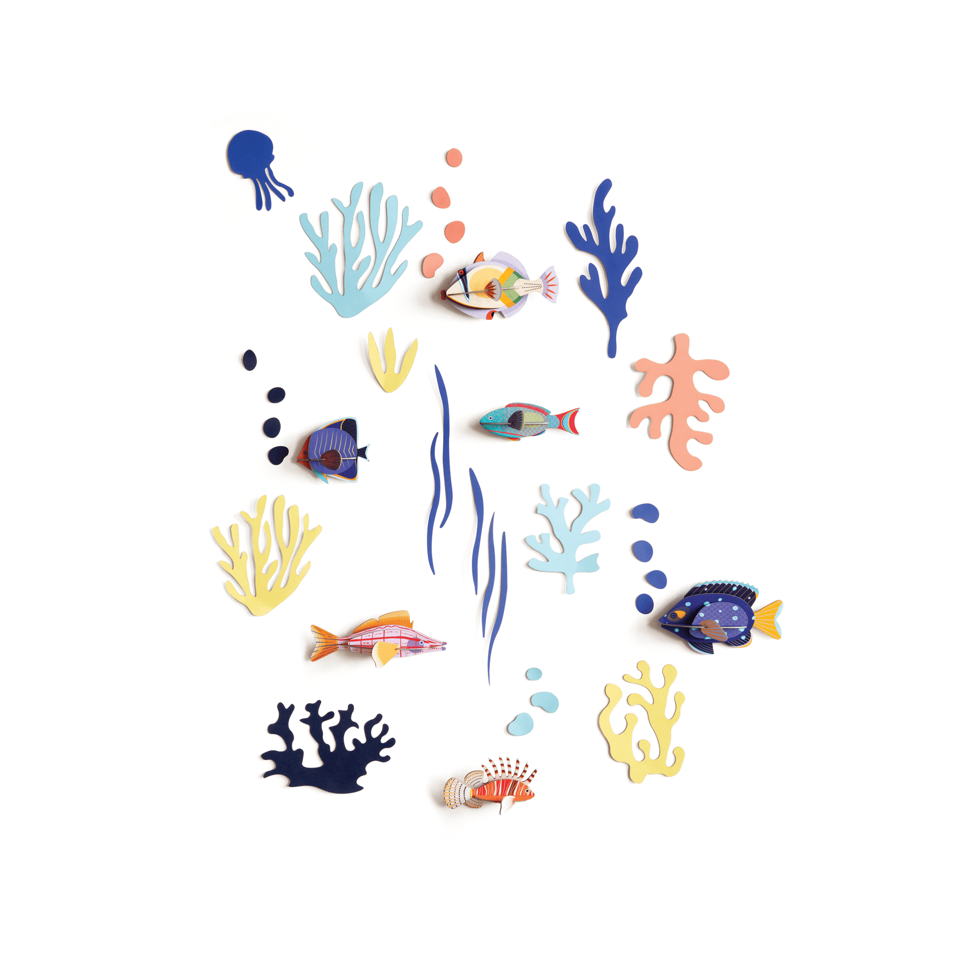 Studio Roof Decorazione parete Fish Collection - Wall of Curiosities