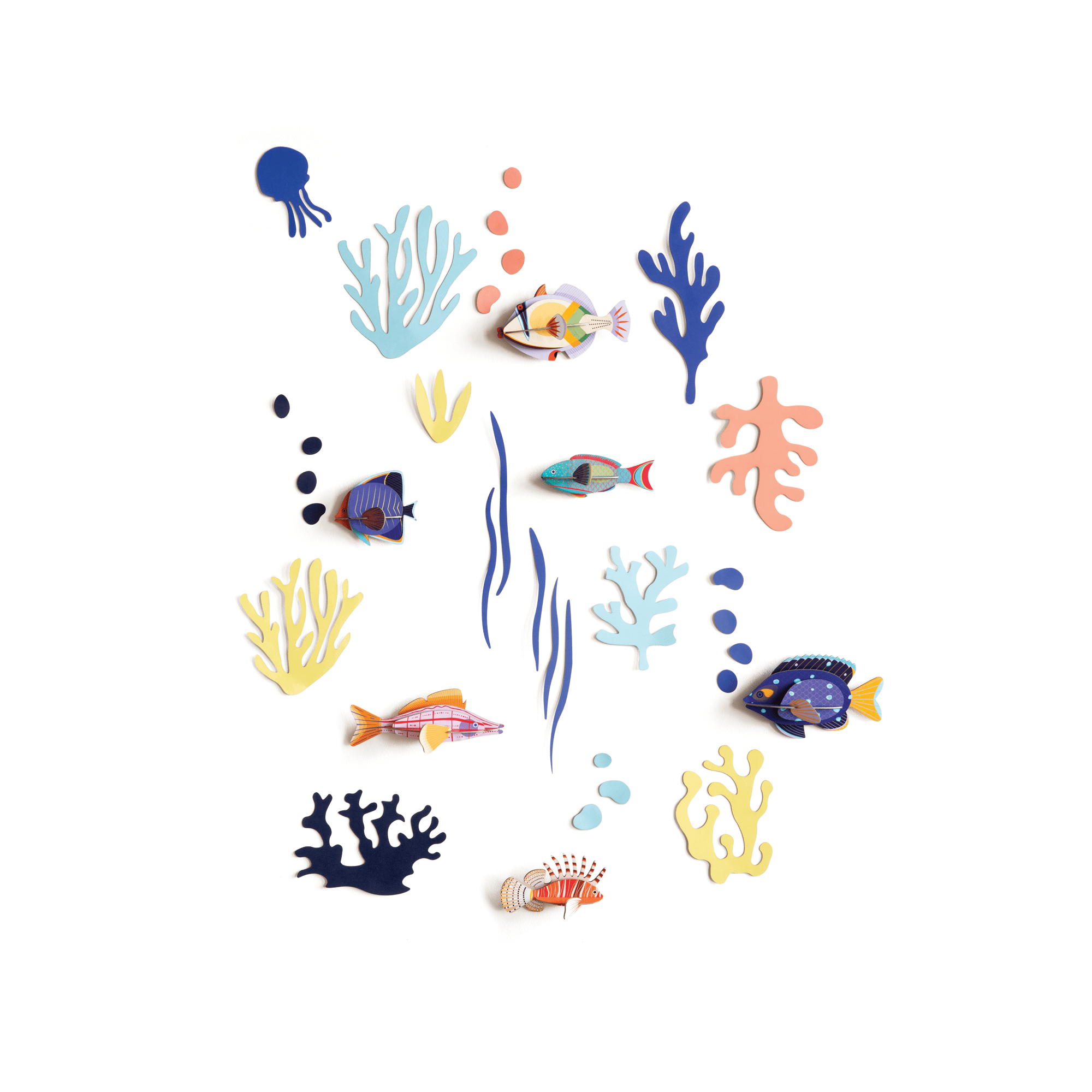 Studio Roof Decorazione parete Fish Collection - Wall of Curiosities