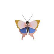 Studio Roof Decorazione parete Gold Rim Butterfly
