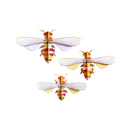Studio Roof Decorazione parete Honey Bee set