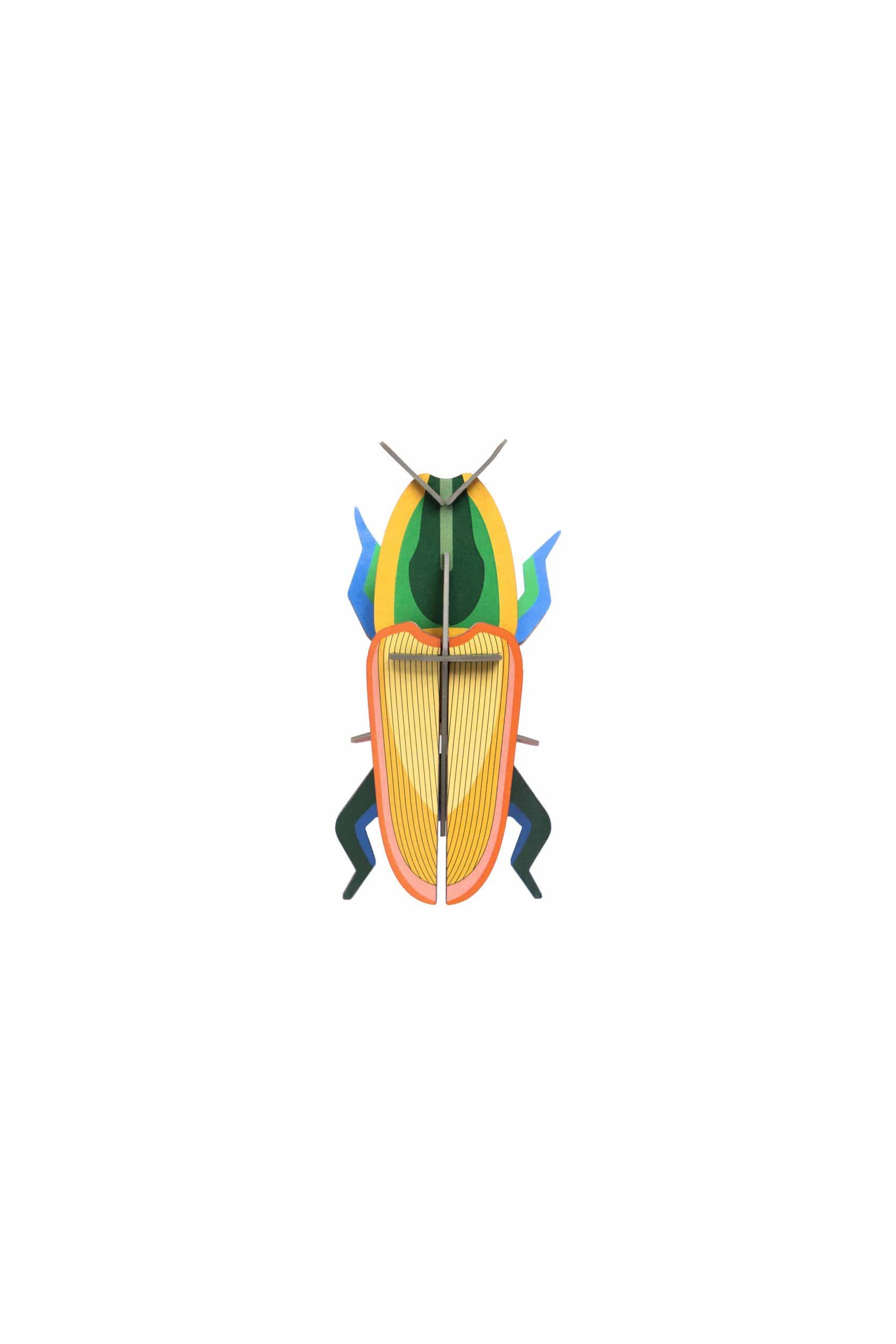 Studio Roof Decorazione parete Madagascar Beetle
