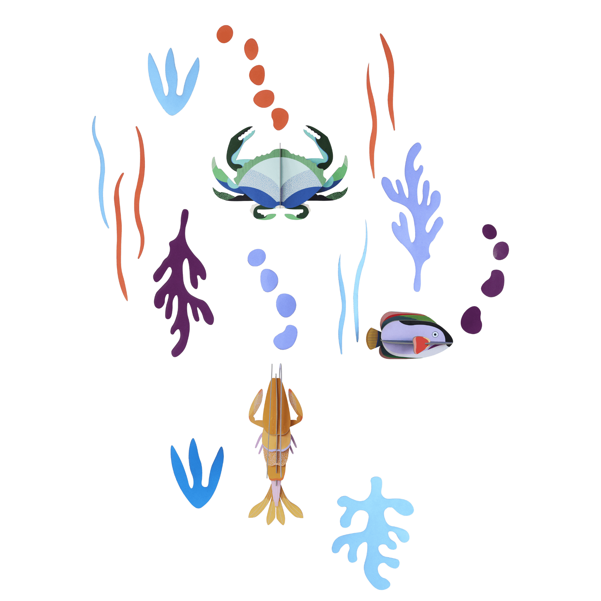 Studio Roof Decorazione parete Ocean's Tale - Wall of Curiosities Small