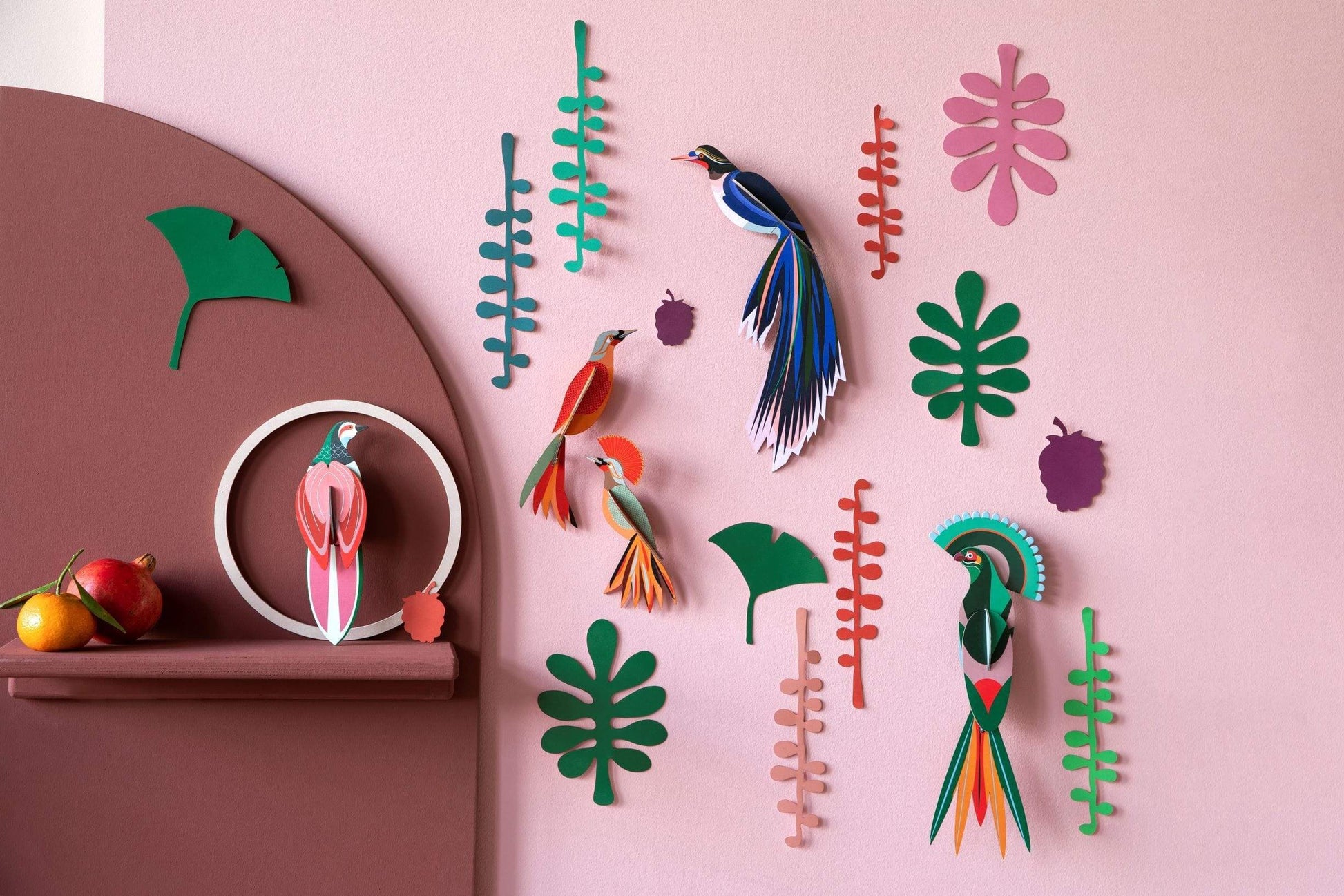 Studio Roof Decorazione parete Paradise Bird Collection - Wall of Curiosities