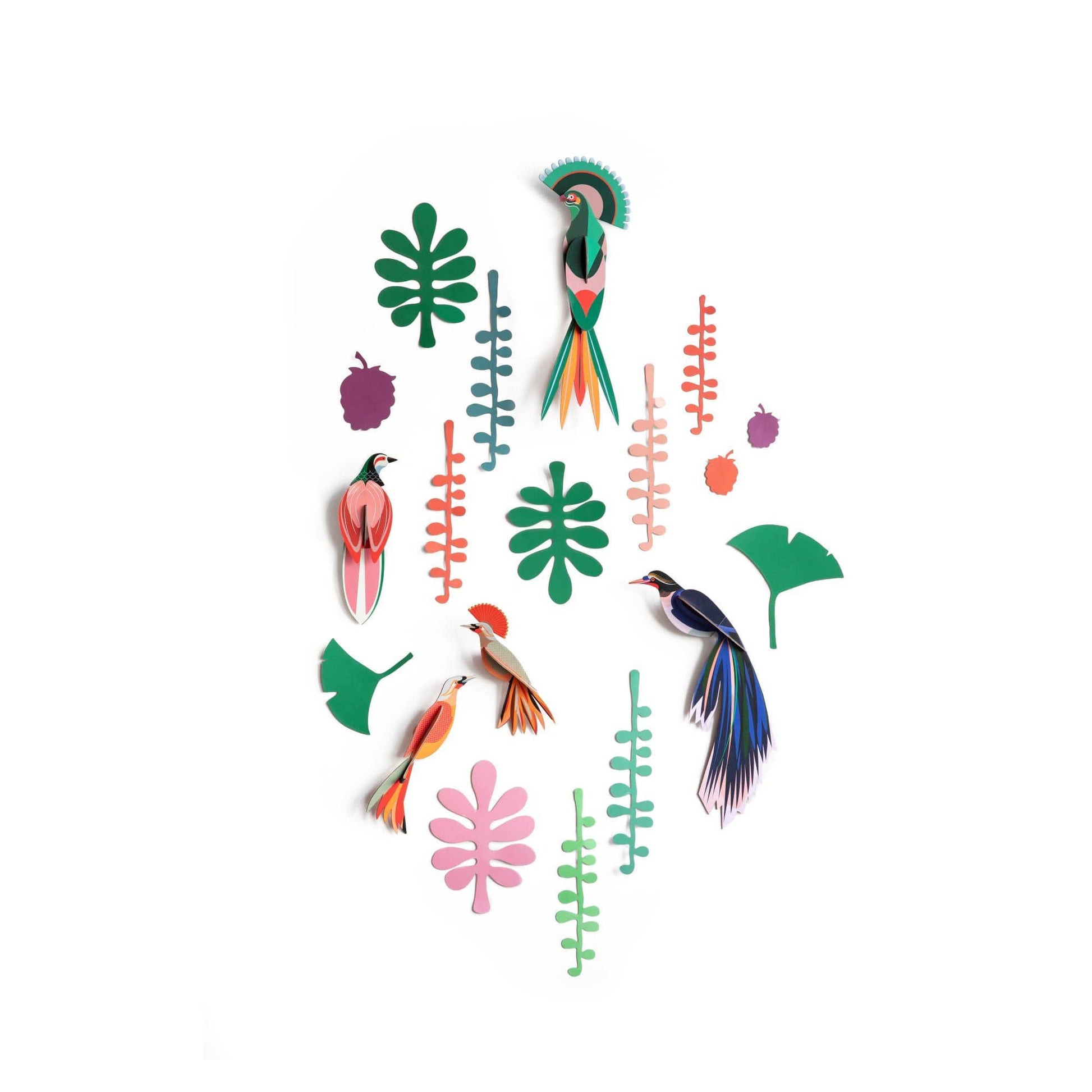 Studio Roof Decorazione parete Paradise Bird Collection - Wall of Curiosities