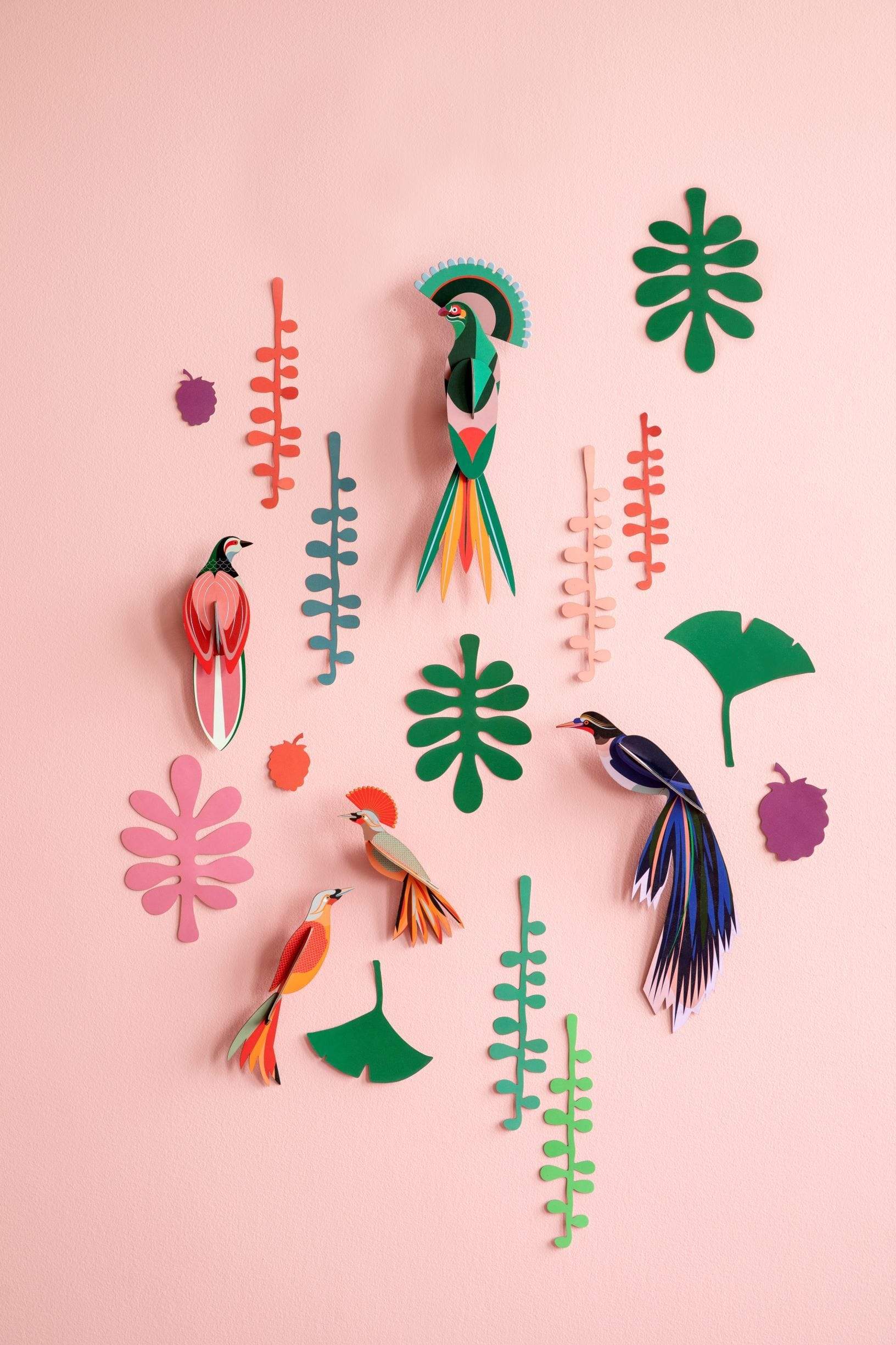Studio Roof Decorazione parete Paradise Bird Collection - Wall of Curiosities
