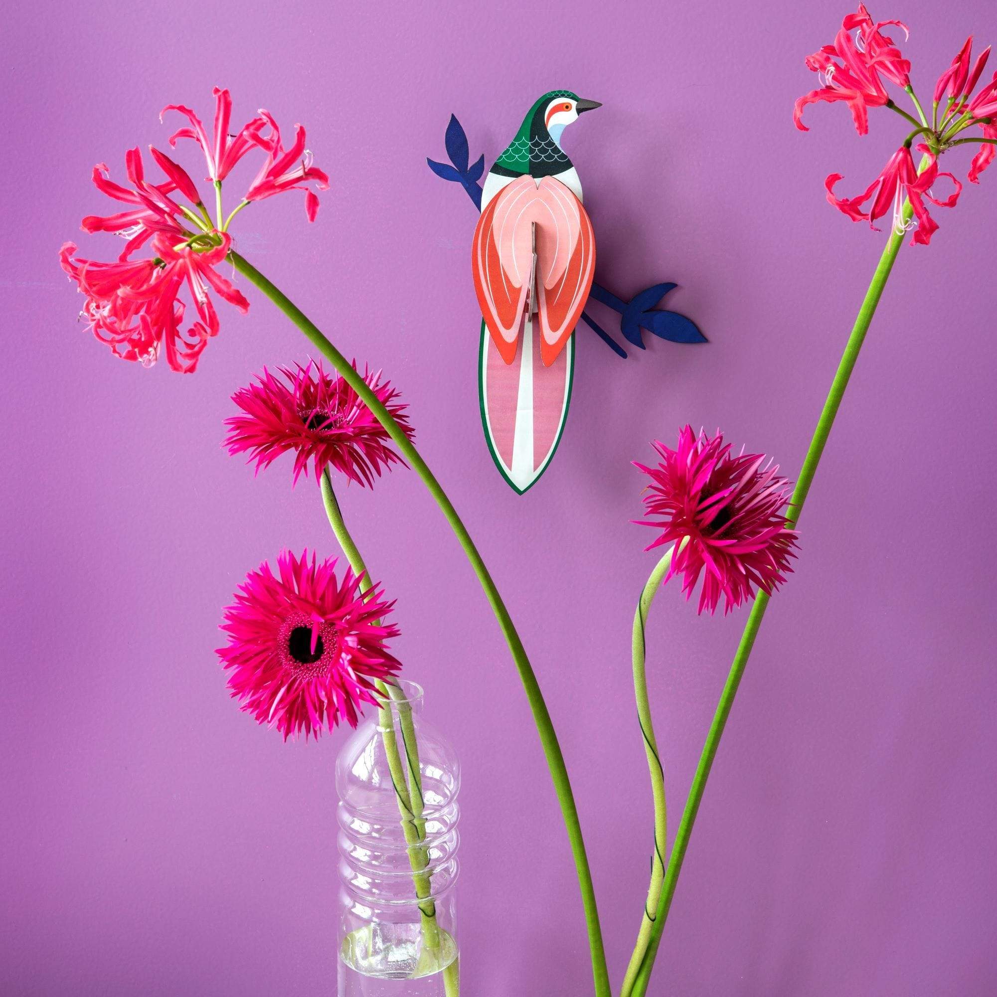 Studio Roof Decorazione parete Paradise Bird Rani