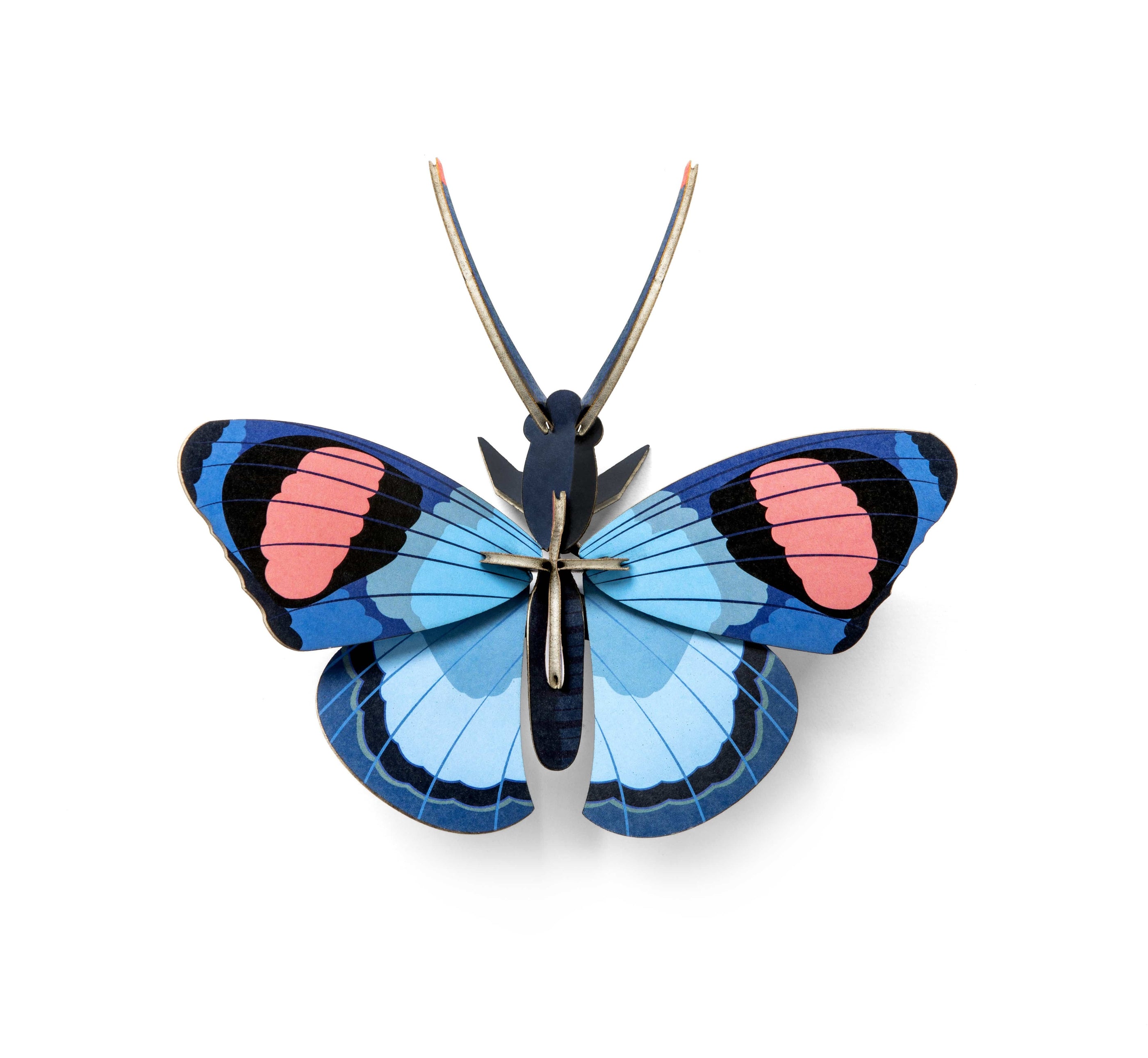 Studio Roof Decorazione parete Peacock Butterfly