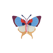 Studio Roof Decorazione parete Plum Fringe Butterfly