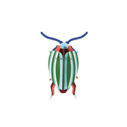 Studio Roof Decorazione parete Rainbow Beetle