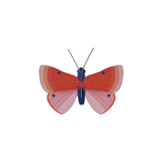 Studio Roof Decorazione parete Speckled Copper Butterfly