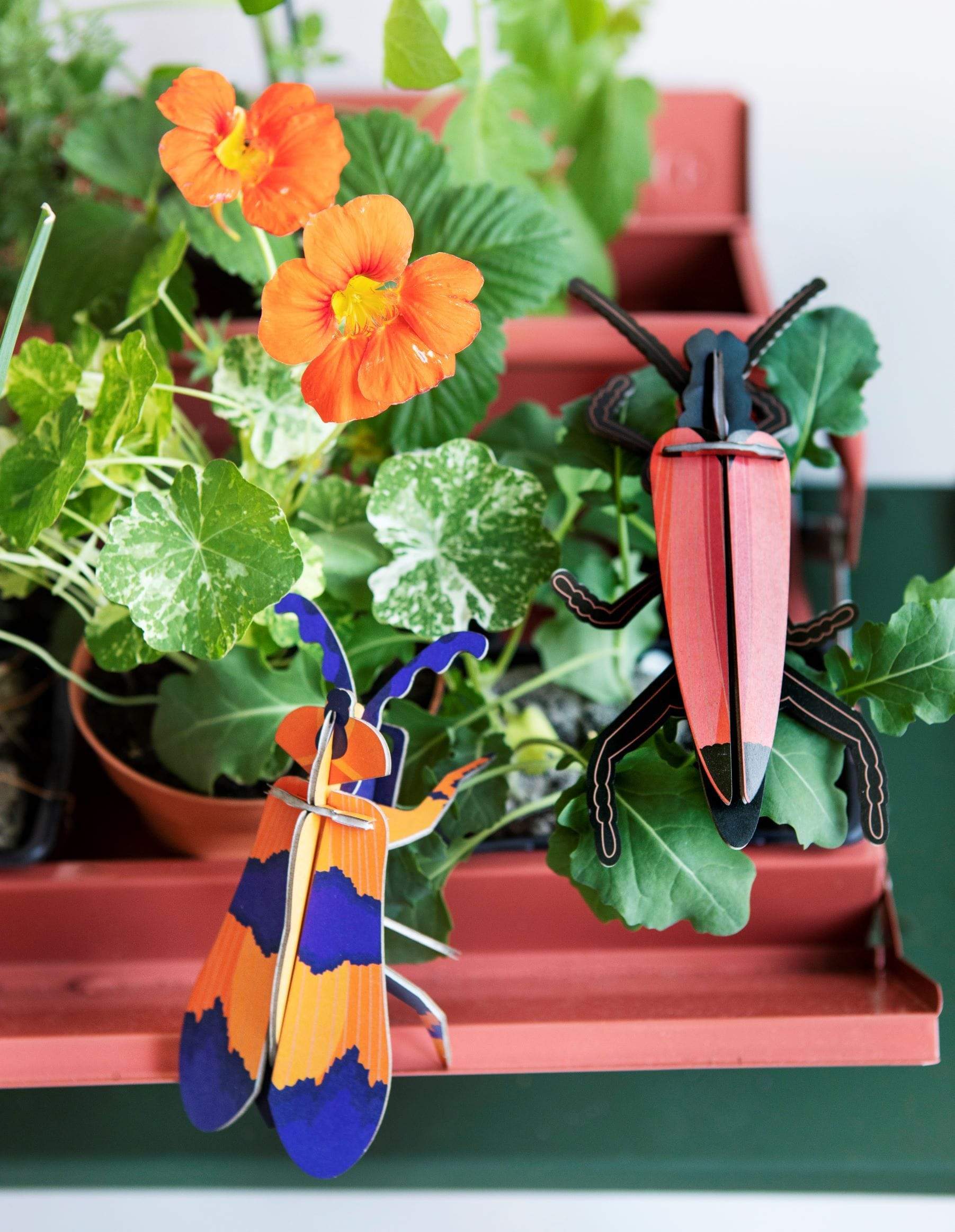 Studio Roof Decorazione parete Winged Beetle