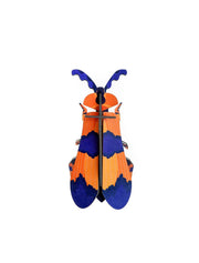Studio Roof Decorazione parete Winged Beetle