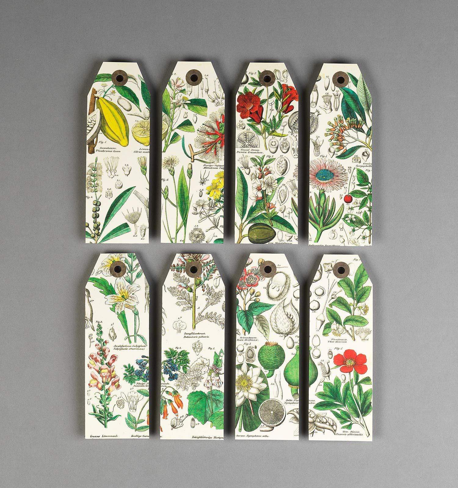 Pepin Press DIY Paper Craft Book - Flowers