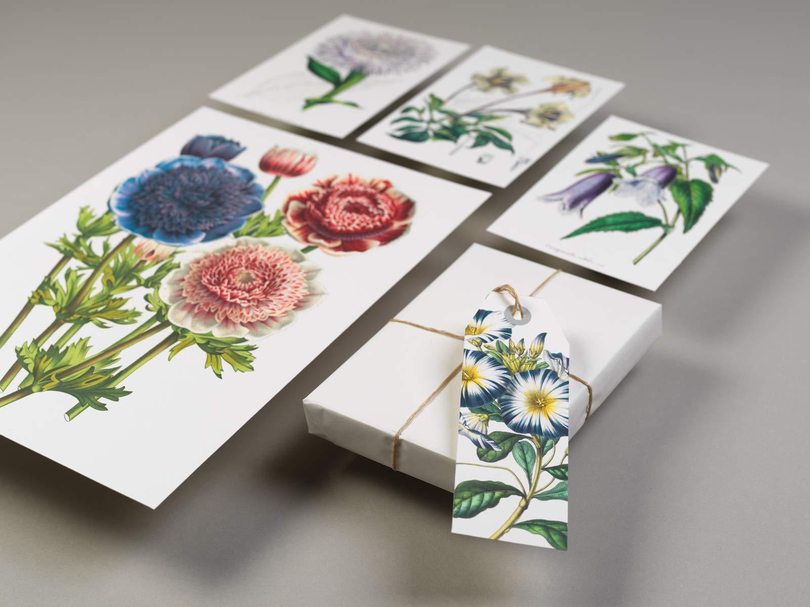 Pepin Press DIY Paper Craft Book - Flowers